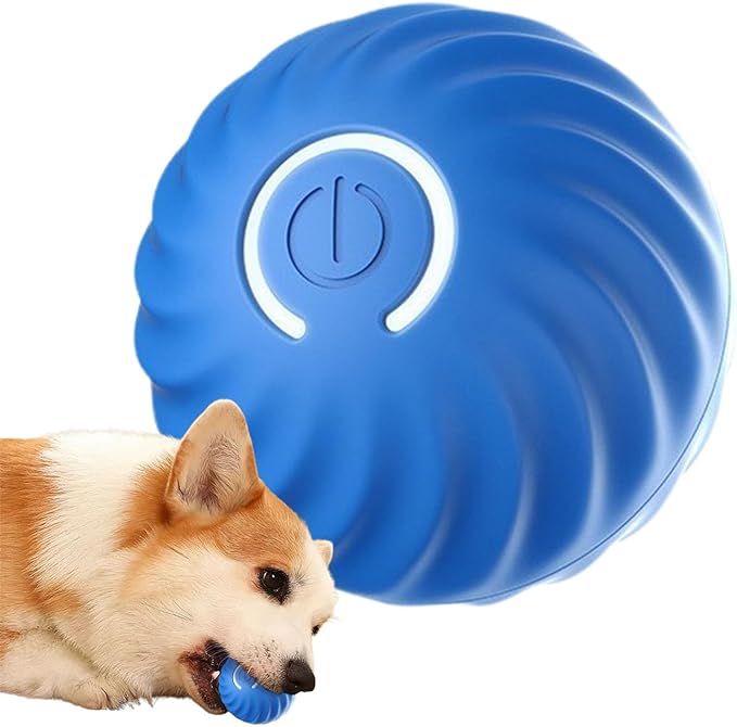 🐕🐱🐶Automatyczna inteligentna piłka do drażnienia psa