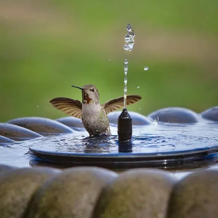 🎁🔥Fontanny dla ptaków zasilane energią słoneczną🐦️