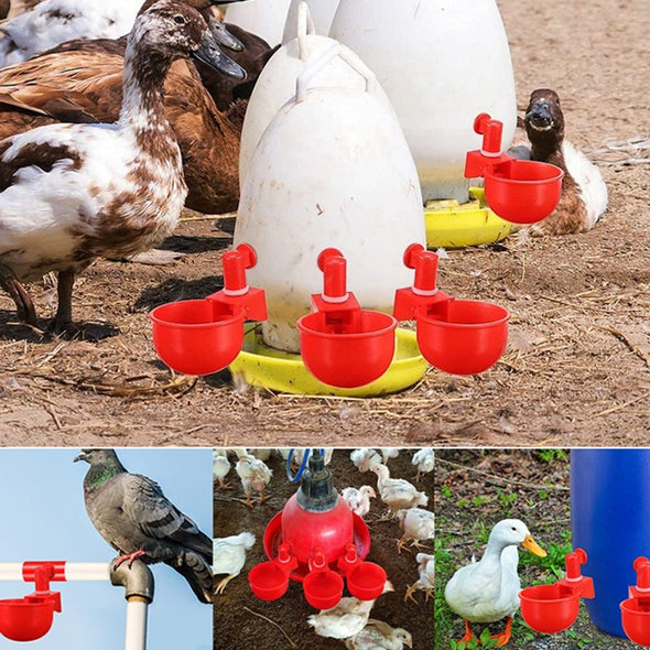 🐔 | Automatyczne Poidełko dla Kur | Niezawodne | Montaż w 3 Minuty