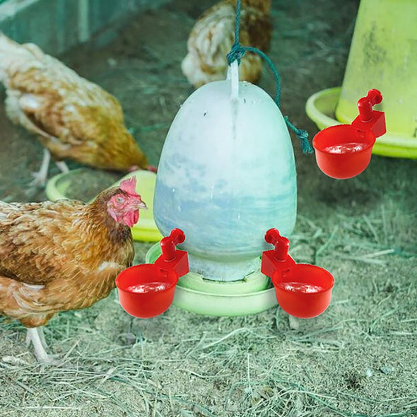 🐔 | Automatyczne Poidełko dla Kur | Niezawodne | Montaż w 3 Minuty