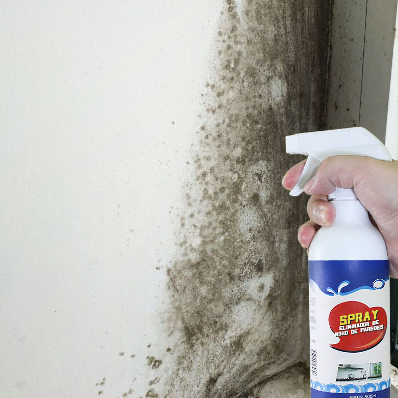 Świąteczna oferta przedsprzedaży🦠ZMYWACZ DO ŚCIAN W SPRAYU-500ML🚫