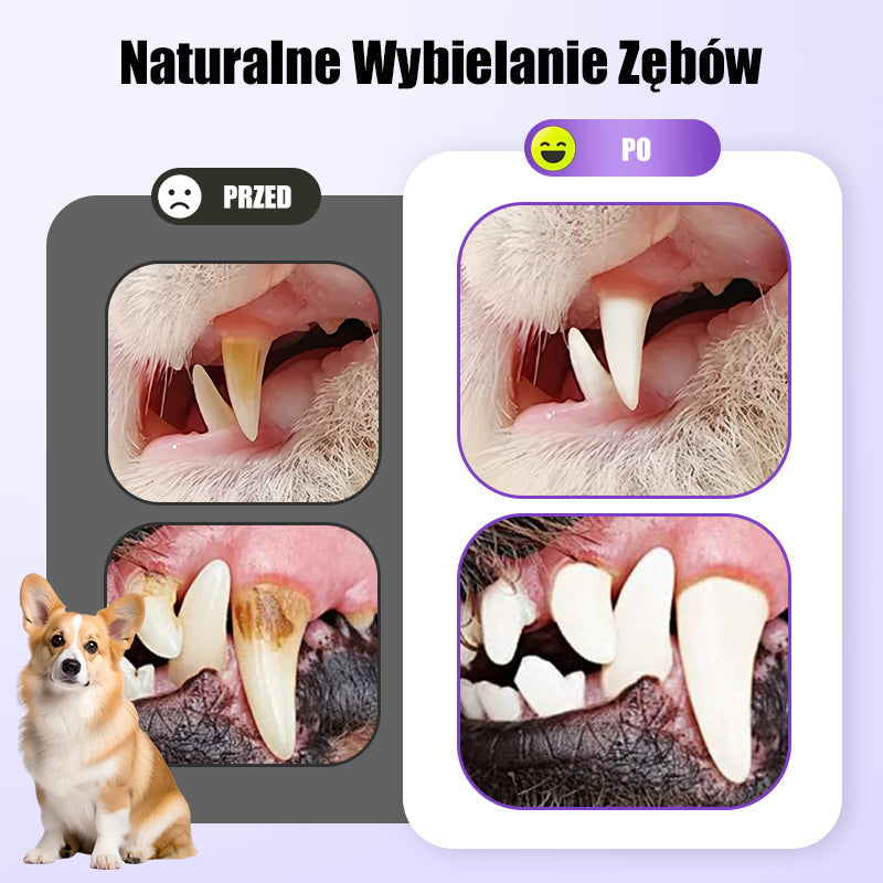 【🔥Kup 1 zdobądź 1 gratis】🐱🐶Żel do higieny jamy ustnej dla zwierząt