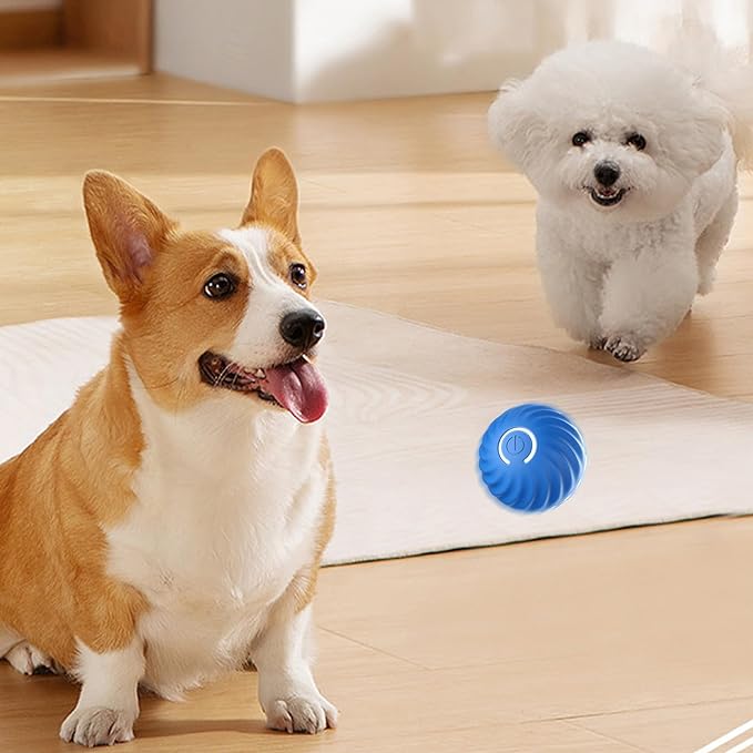 🐕🐱🐶Automatyczna inteligentna piłka do drażnienia psa