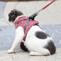 🐱Gorąca wyprzedaż 49% OFF🔥Pet Leash Anti-break Away Uprząż z paskiem na klatkę piersiową
