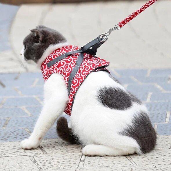 🐱Gorąca wyprzedaż 49% OFF🔥Pet Leash Anti-break Away Uprząż z paskiem na klatkę piersiową