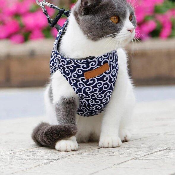 🐱Gorąca wyprzedaż 49% OFF🔥Pet Leash Anti-break Away Uprząż z paskiem na klatkę piersiową