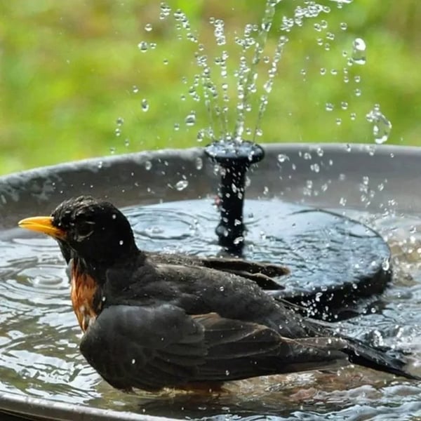 🎁🔥Fontanny dla ptaków zasilane energią słoneczną🐦️