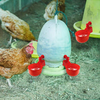 🐔 | Automatyczne Poidełko dla Kur | Niezawodne | Montaż w 3 Minuty
