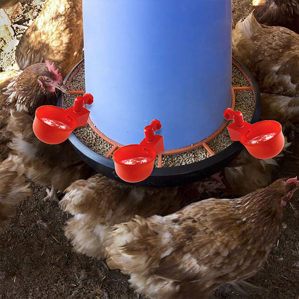 🐔 | Automatyczne Poidełko dla Kur | Niezawodne | Montaż w 3 Minuty