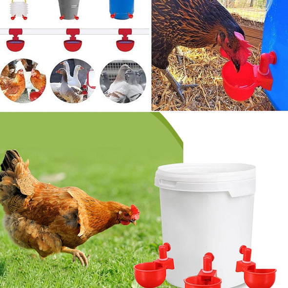 🐔 | Automatyczne Poidełko dla Kur | Niezawodne | Montaż w 3 Minuty