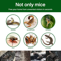 Duża pułapka na myszy z klejem🐁