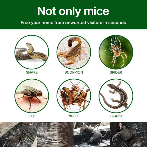 Duża pułapka na myszy z klejem🐁