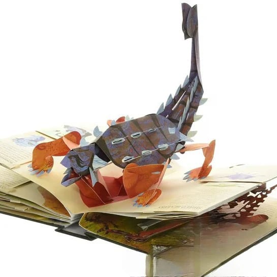 🔥🦖Encyklopedia prehistoryczna 3D Dinozaury – rozpal w dzieciach pasję do nauki! 📚