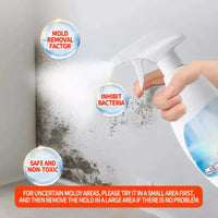 🏡Kup 1 i otrzymaj 1 gratis🔥 Wysoce skuteczny spray do usuwania pleśni